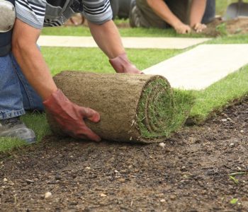 Lawn Installation