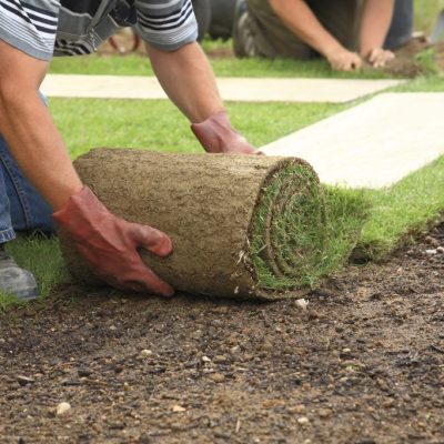 Lawn Installation