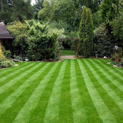 Lawn Care