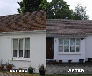 Roofs Before | After 