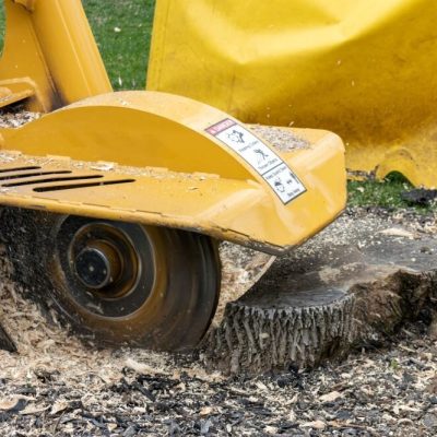 Stump Removing