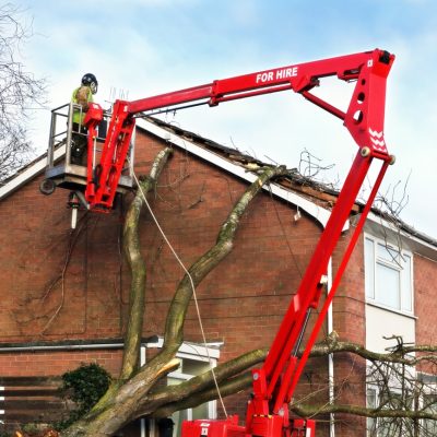 Emergency Tree care